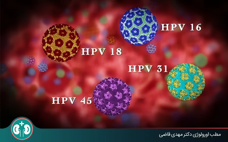 ویروس HPV چیست؟ روش‌های انتقال، پیشگیری و درمان