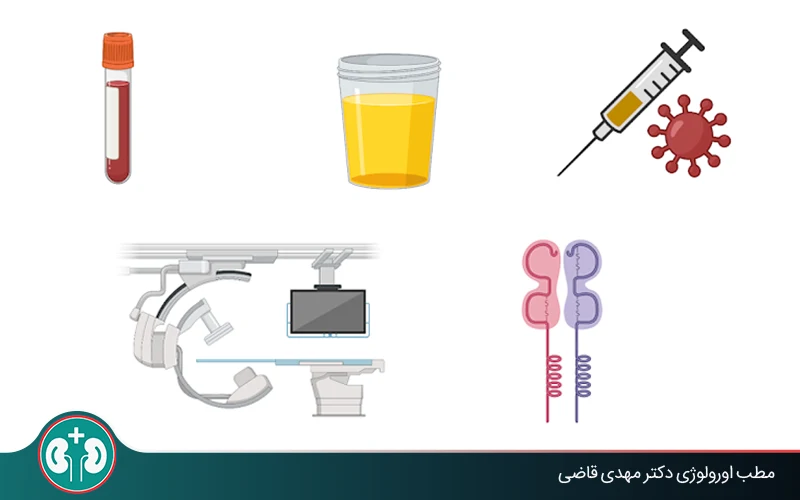 راهنمای آزمایشات قبل از پیوند کلیه؛ آزمایش پنل پیوند چیست؟