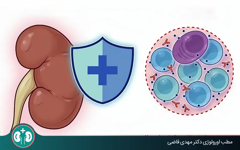 Kidney Transplant Rejection Symptoms and Warning Signs to Know