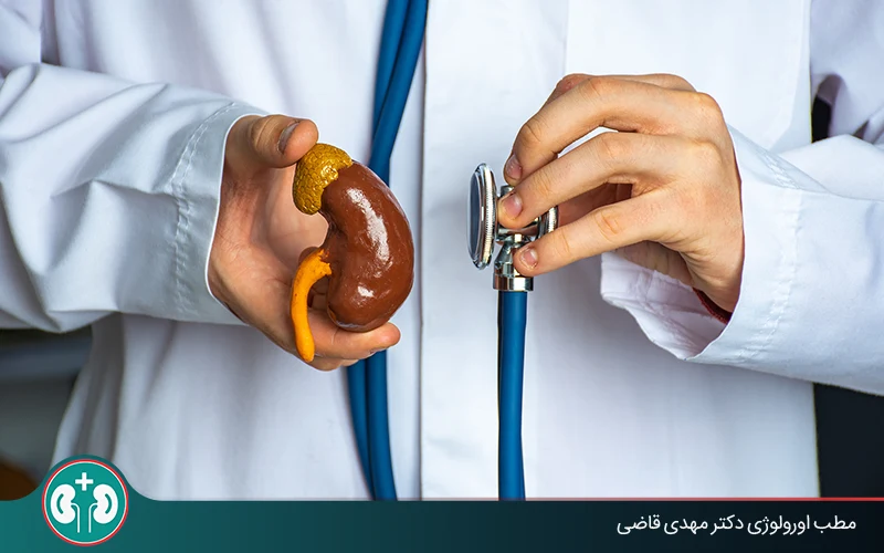 Living With One Kidney: Risks, Care, and Life Expectancy | Dr. Mahdi Ghazi